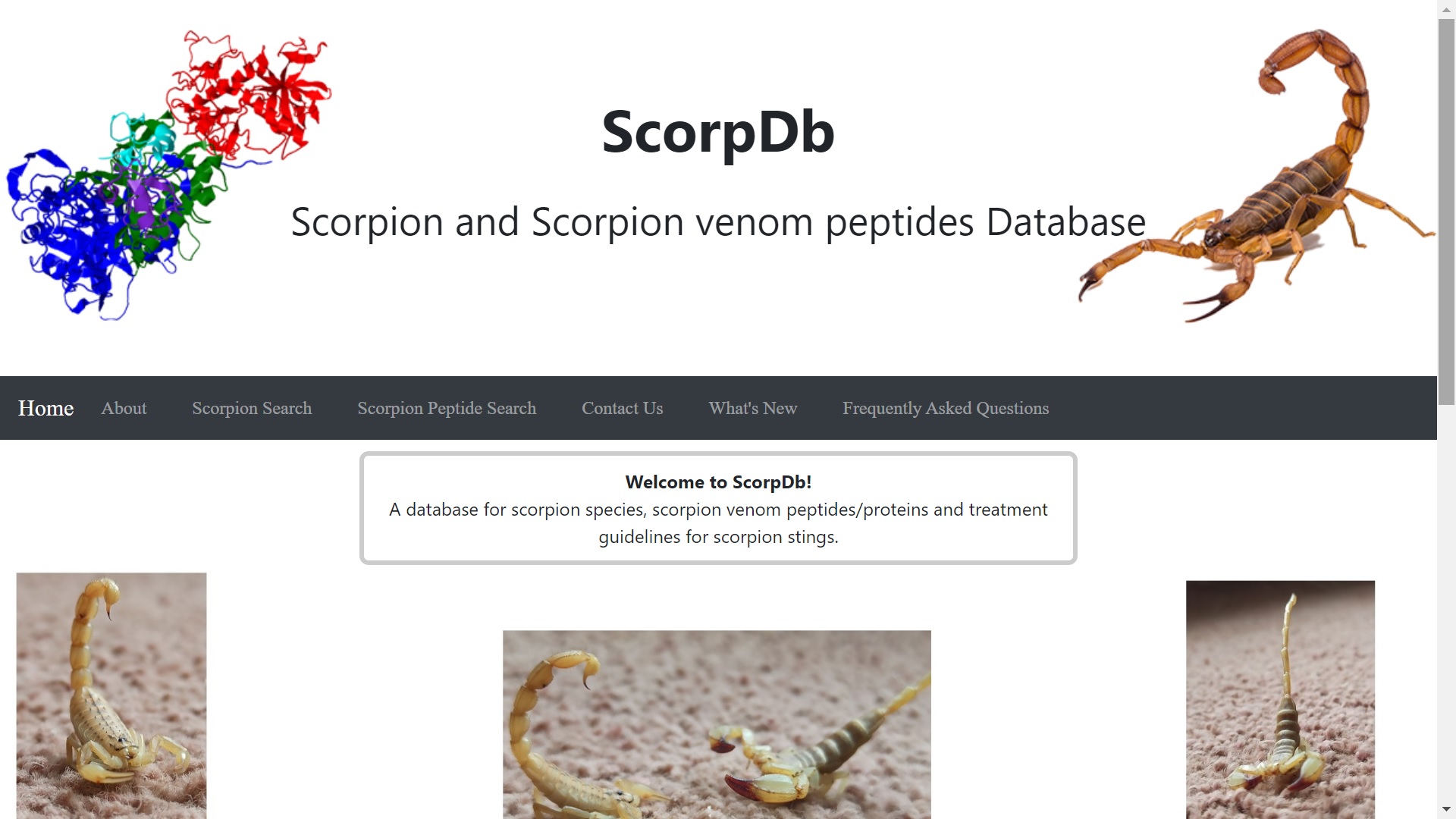 ScorpDB